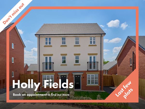 Holly Fields - Image 9