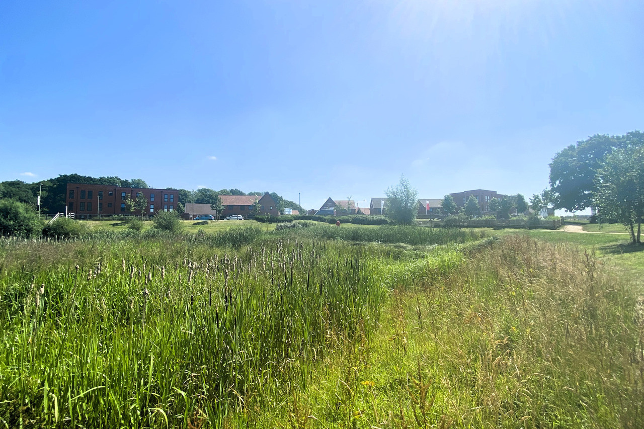 Whiteley Meadows - Image 3