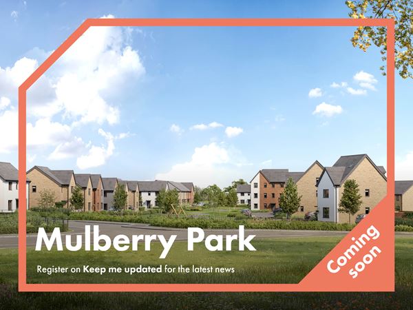 Mulberry Park - Image 1