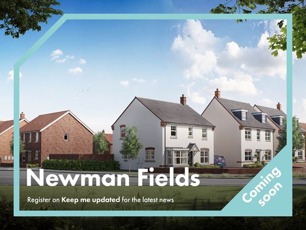 Newman Fields - Image 1