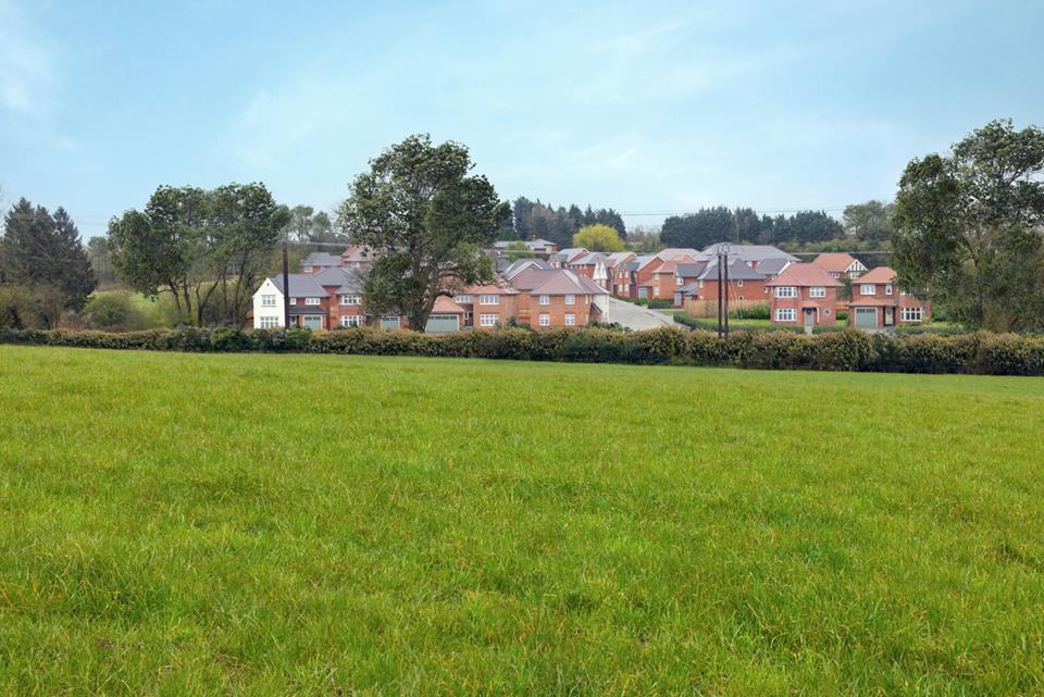 Silverbrook Meadow Webheath - Image 12