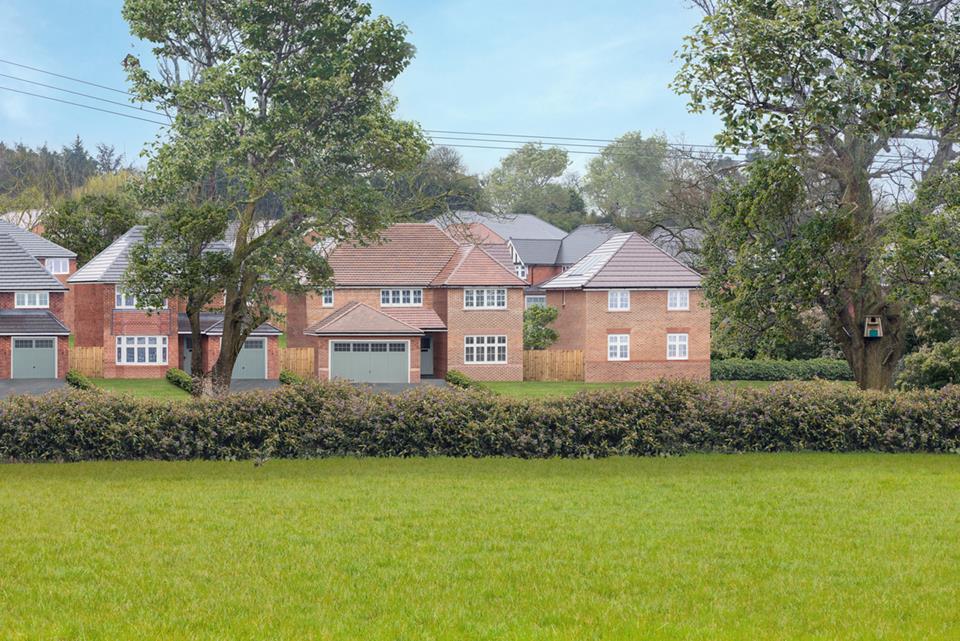 Silverbrook Meadow Webheath - Image 13